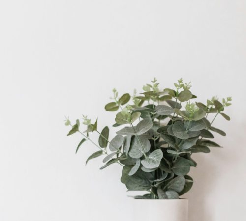 sincerely-media-4PMVNJeI3XU-unsplash sincerely-media-4PMVNJeI3XU-unsplash